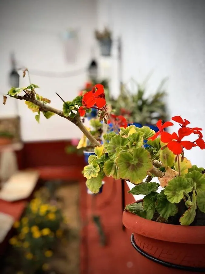 La Jara Casa Rural Hostal Hinojosa del Duque