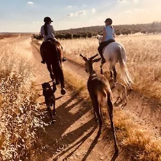 Εξοχικό σπίτι La Jara Casa Rural ξενώνας Hinojosa del Duque Ισπανία